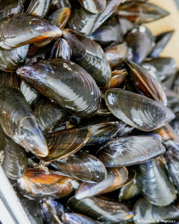 Moules